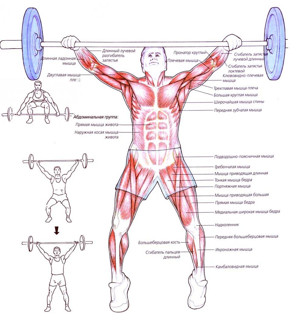 Файл:Atlas fitnesa100.jpg