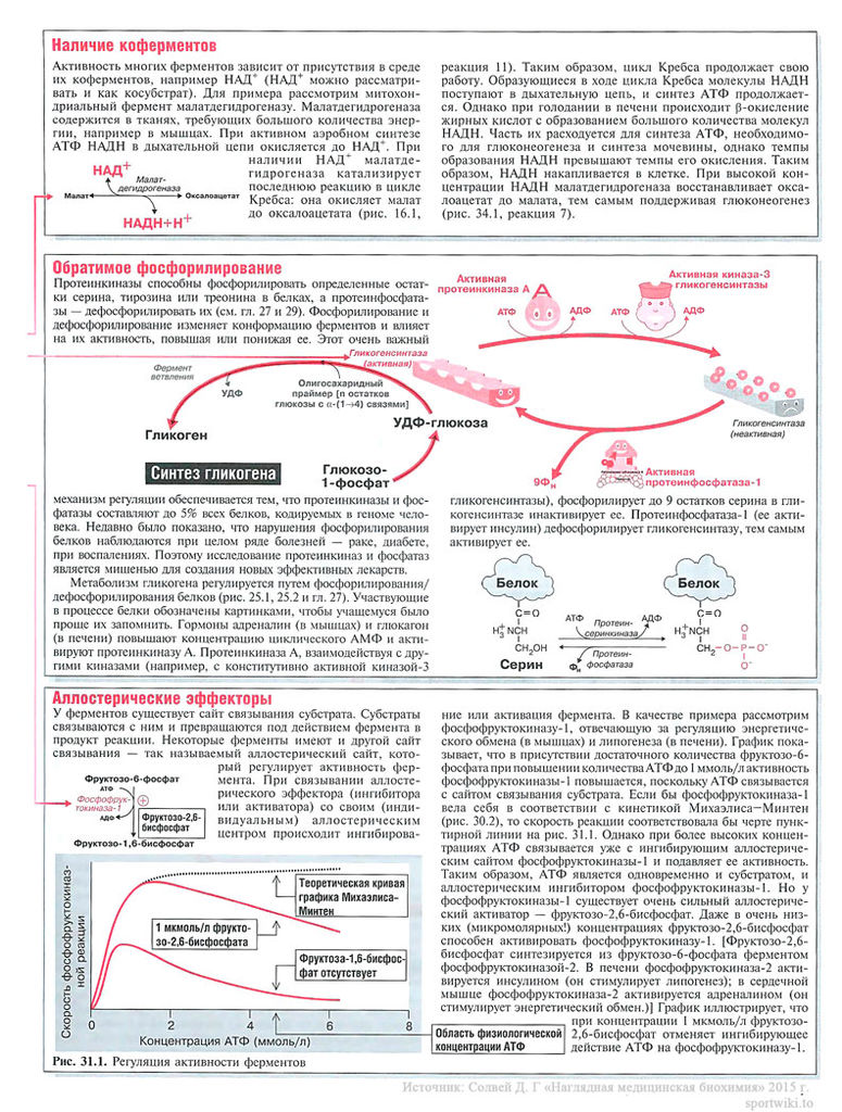 Файл:Scan73 1.jpg