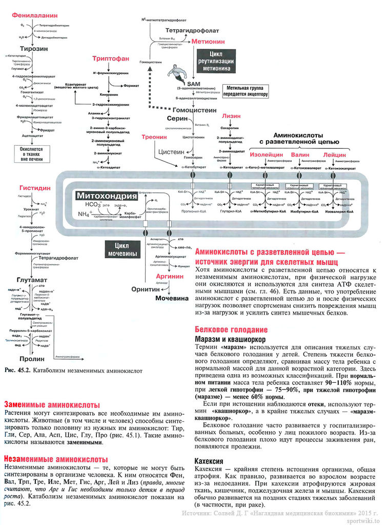 Файл:Scan101 1.jpg