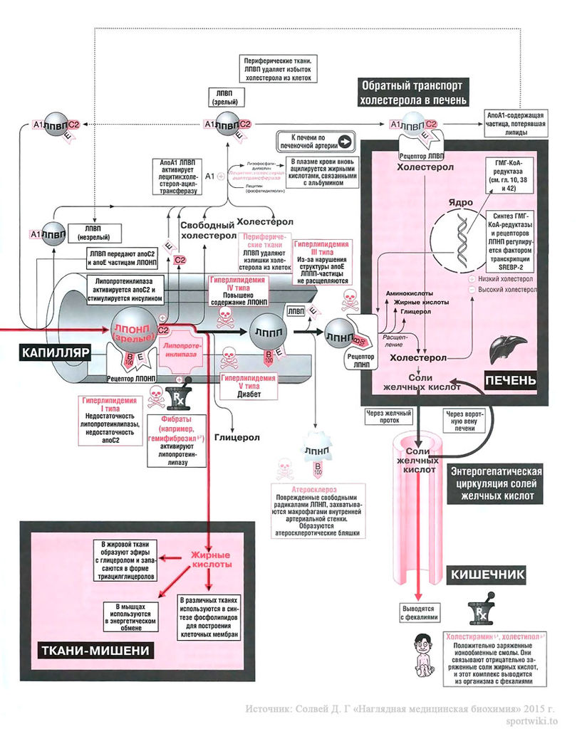Файл:Scan91 1.jpg