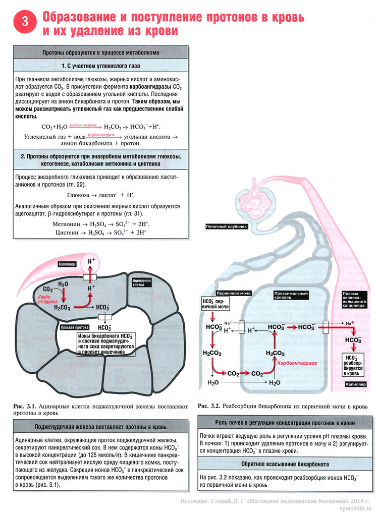 Файл:Proton 16.jpg