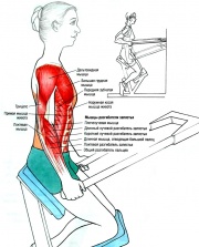 Разгибание рук на тренажере
