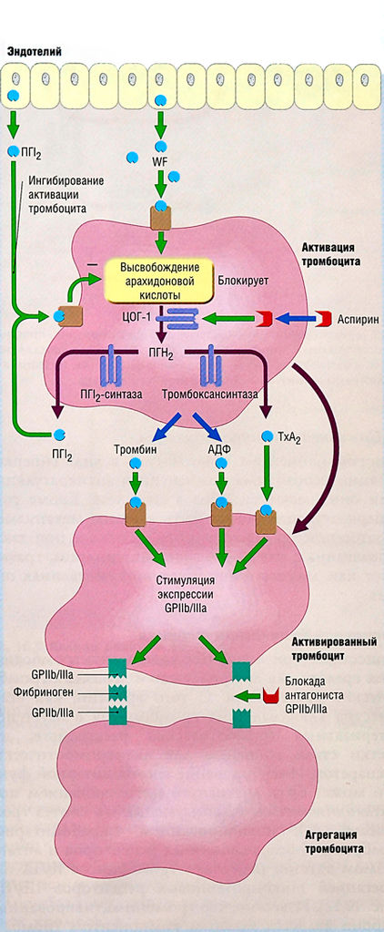Файл:Ph 10 12.jpg