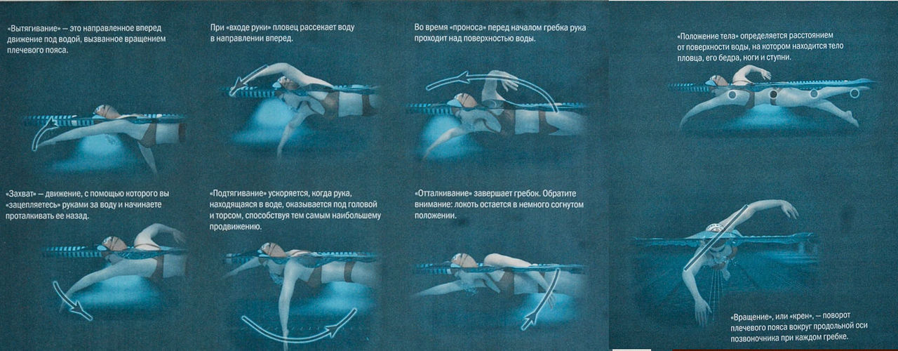 Файл:Texnika plav.jpg