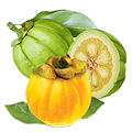 Garcinia-cambogia.jpg