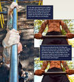 Explosive-Calisthenics99.jpg