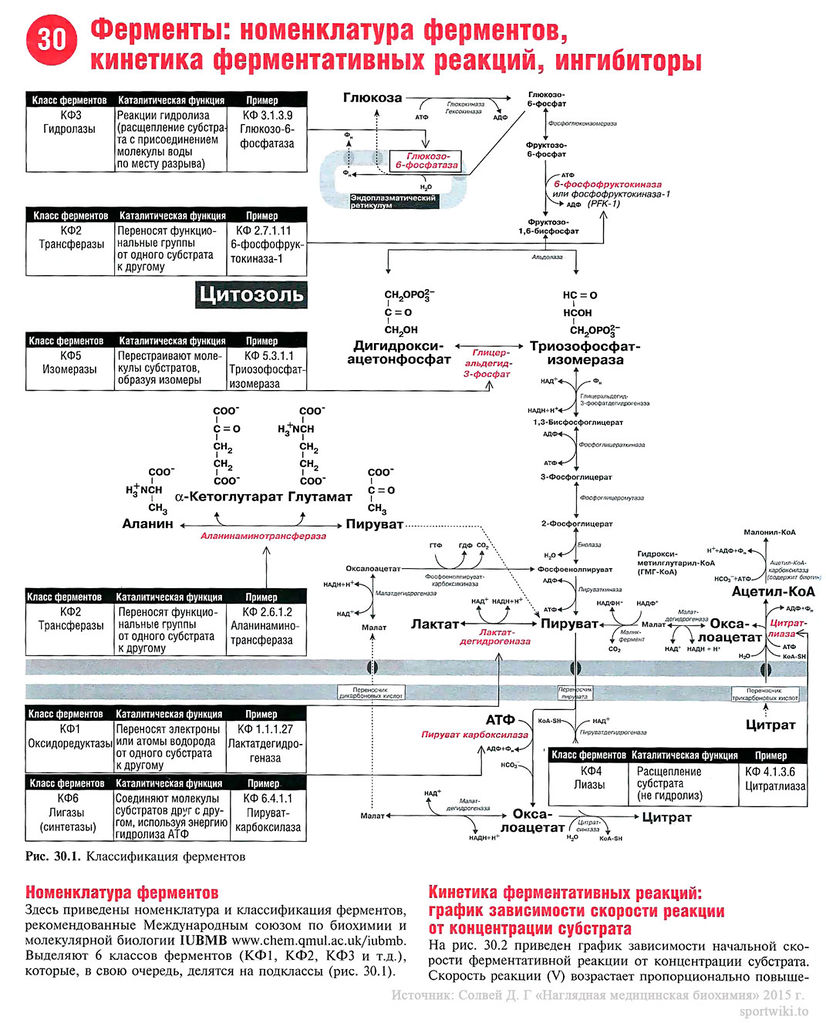 Файл:Scan70 1.jpg