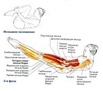 Растяжка двух ног