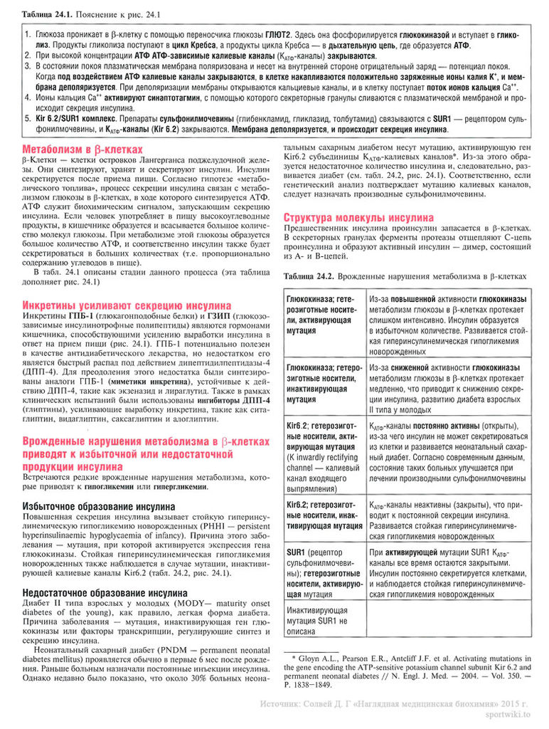 Файл:Scan59 1.jpg