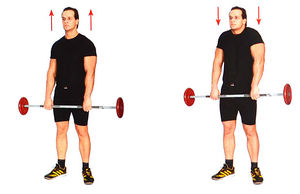 Пожимание плечами стоя со штангой