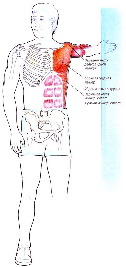 Файл:Atlas fitnesa86.jpg