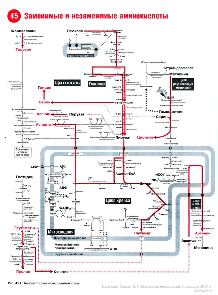 Файл:Scan100 1.jpg