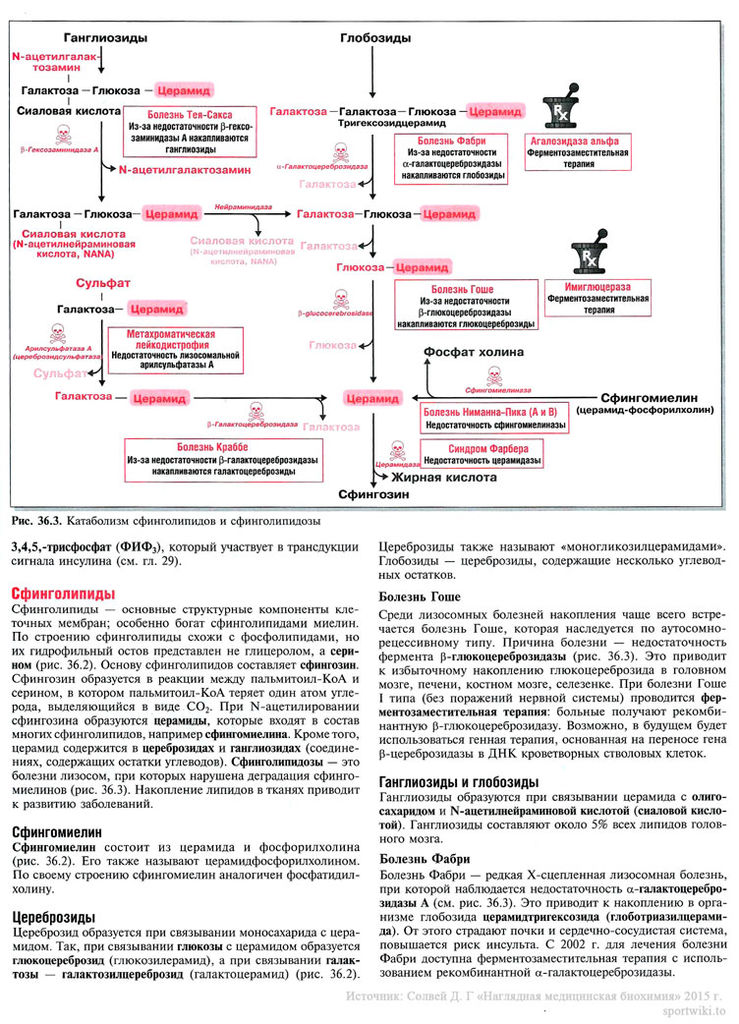 Файл:Scan83 1.jpg