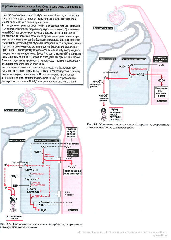 Файл:Proton 17.jpg