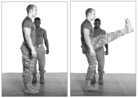 Махи ногой вперед