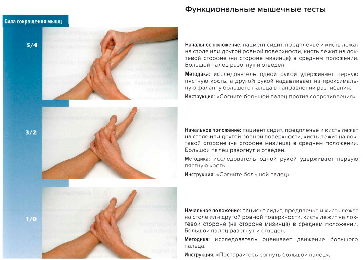 Функциональные мышечные тесты