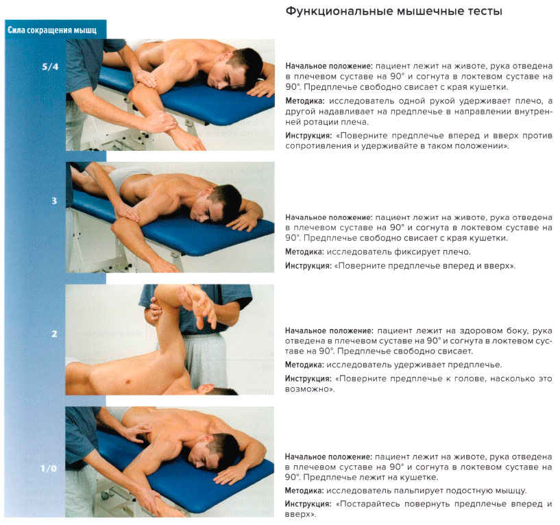 Функциональные мышечные тесты