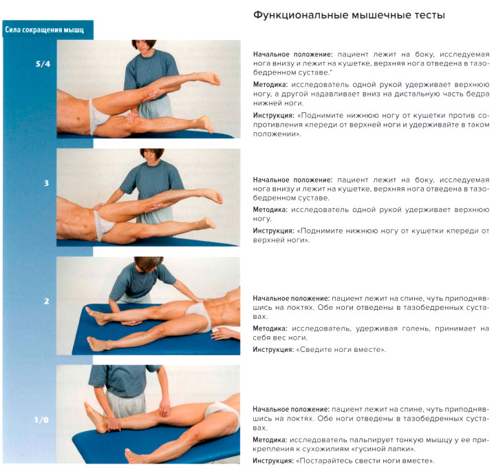 Функциональные мышечные тесты