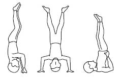 Рис. 22. Стойка на голове и плечах