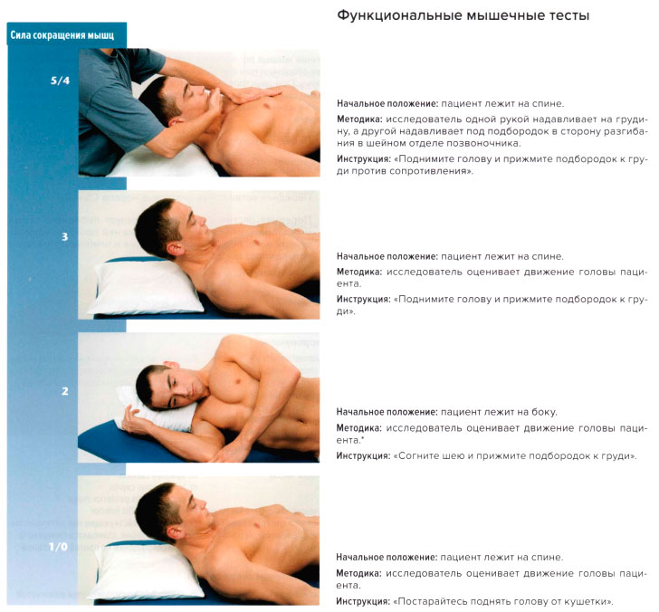 Функциональные мышечные тесты