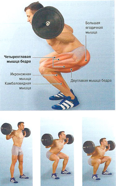 Файл:Mishci sport124.jpg