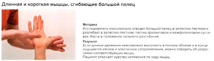 Стресс-тест длинной и короткой мышц, сгибающих большой палец