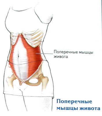 Файл:SAM 5526.jpg
