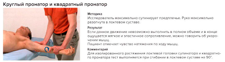 Стресс-тест круглого пронатора и квадратного пронатора