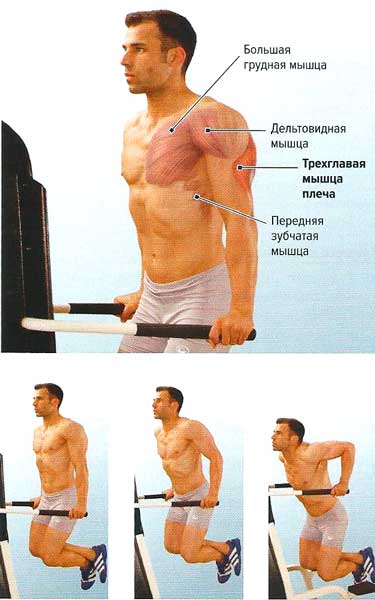 Файл:Mishci sport103.jpg