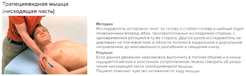 Стресс-тест трапециевидной мышцы