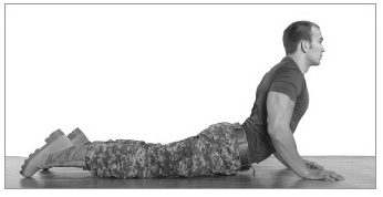 Растяжка брюшного пресса