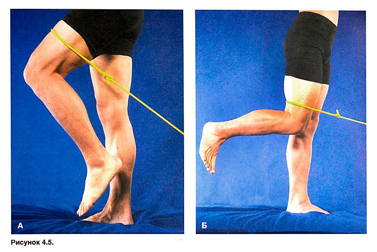 Файл:Ris 4 5.jpg