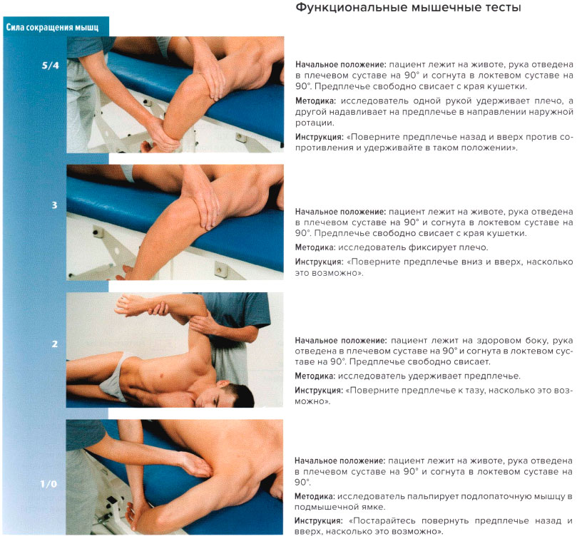 Функциональные мышечные тесты