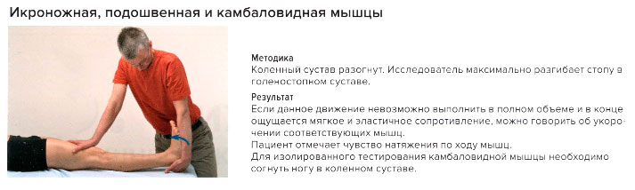 Стресс-тест икроножной, подошвенной и камбаловидной мышц