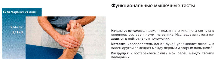 Функциональные мышечные тесты