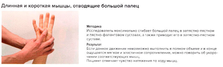 Стресс-тест длинной и короткой мышц, отводящих большой палец