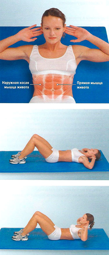 Файл:Mishci sport115.jpg