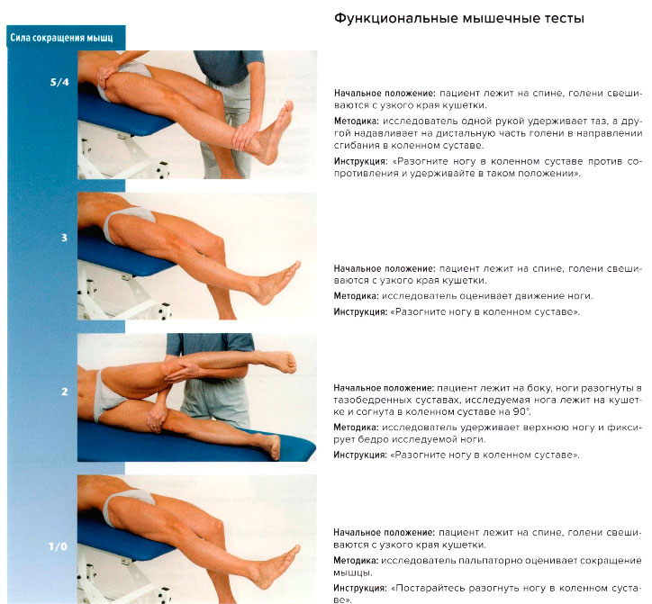 Функциональные мышечные тесты