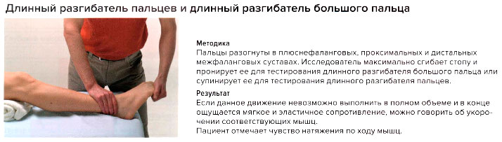 Стресс-тест длинного разгибателя пальцев и длинного разгибателя большого пальца стопы
