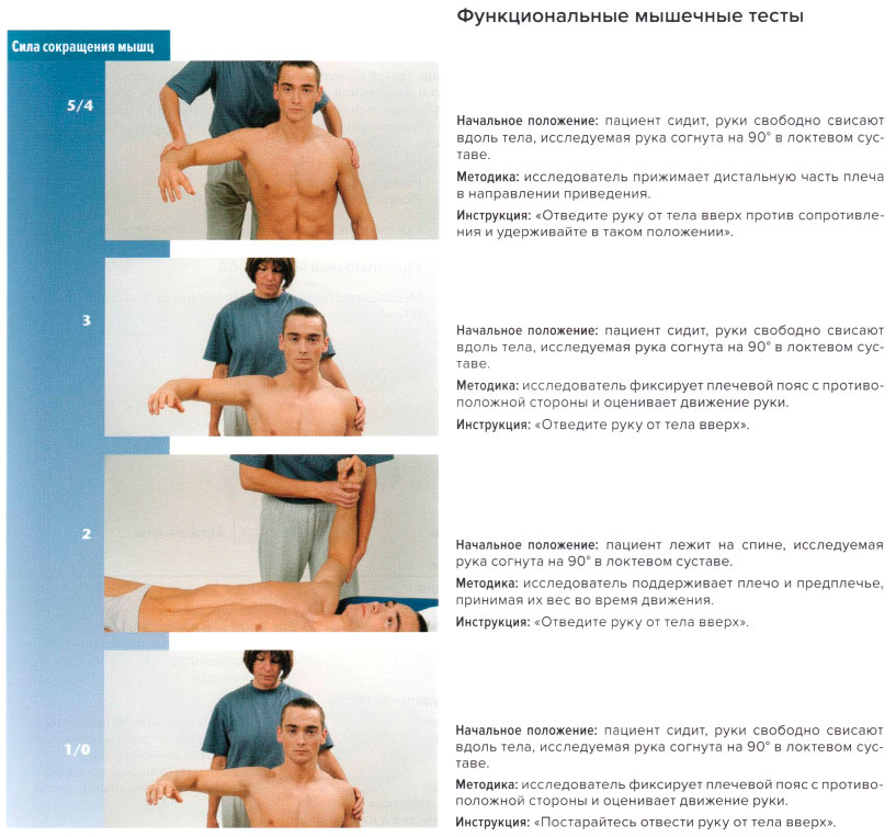 Функциональные мышечные тесты