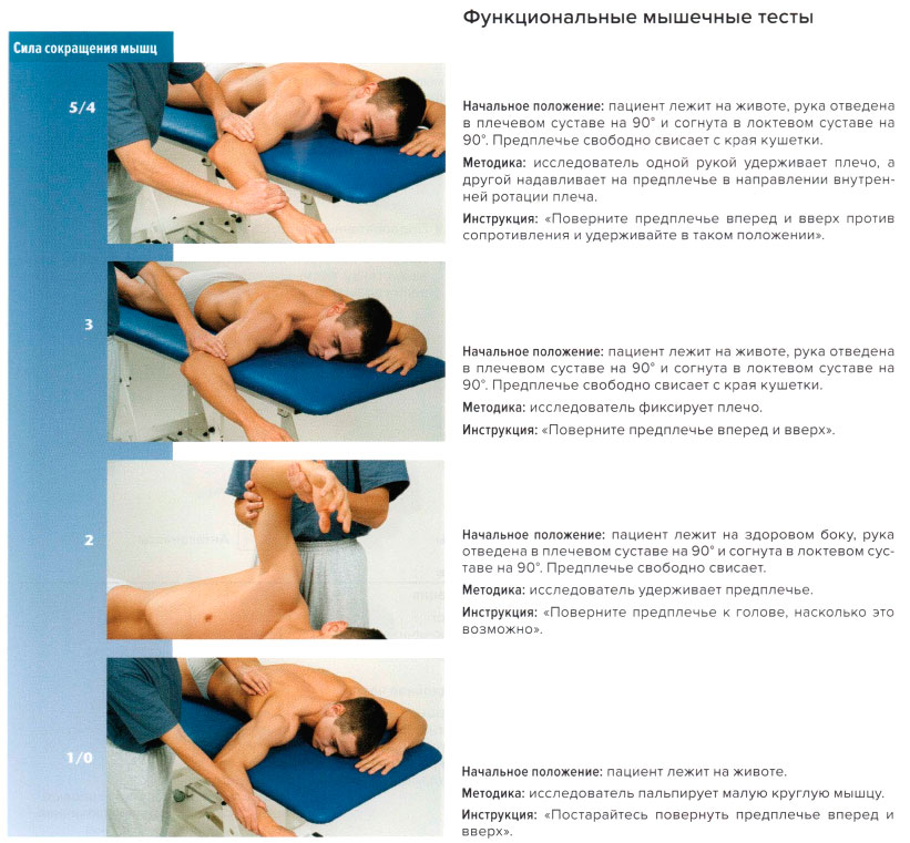 Функциональные мышечные тесты