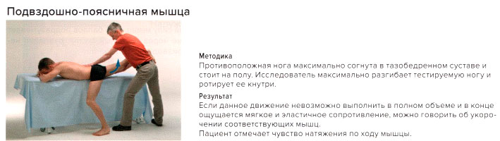 Подвздошно-поясничная мышца. Стресс-тест