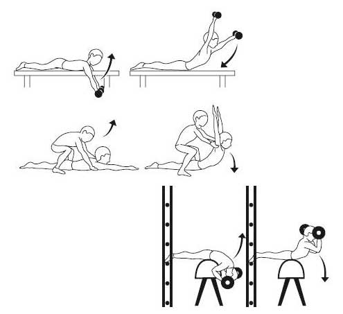 Рис. 4. Упражнения типа «кобра»
