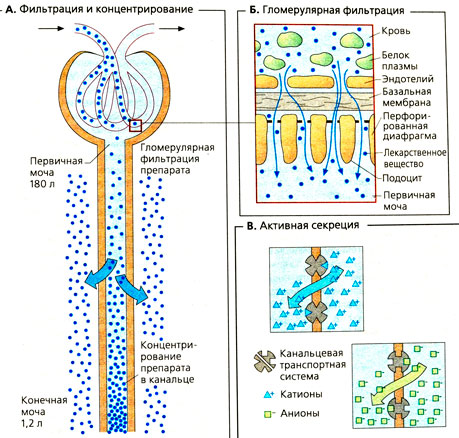 Фильтрация
