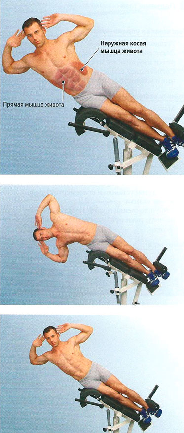 Файл:Mishci sport117.jpg