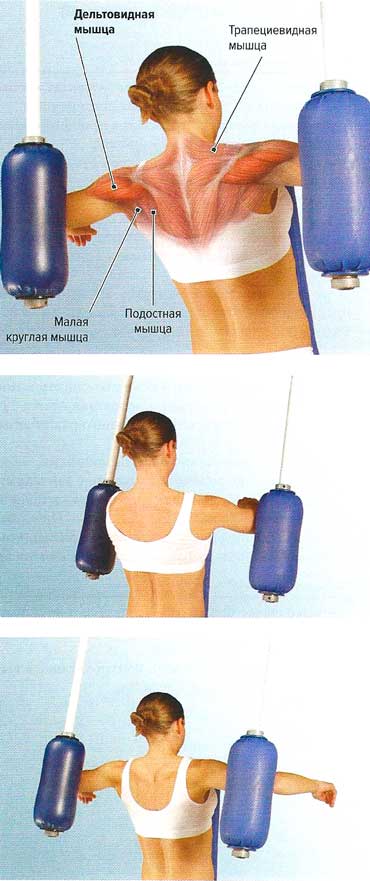 Файл:Mishci sport106.jpg
