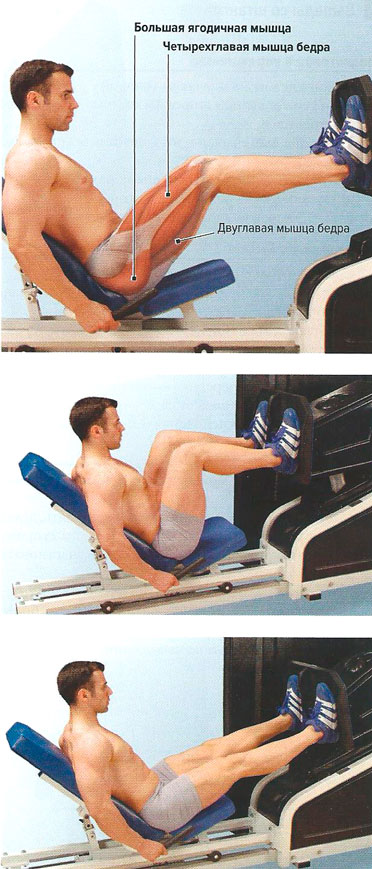 Файл:Mishci sport125.jpg