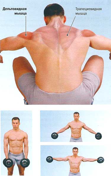 Файл:Mishci sport107.jpg