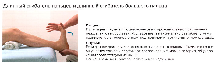Стресс-тест длинного сгибателя пальцев и длинного сгибателя большого пальца стопы