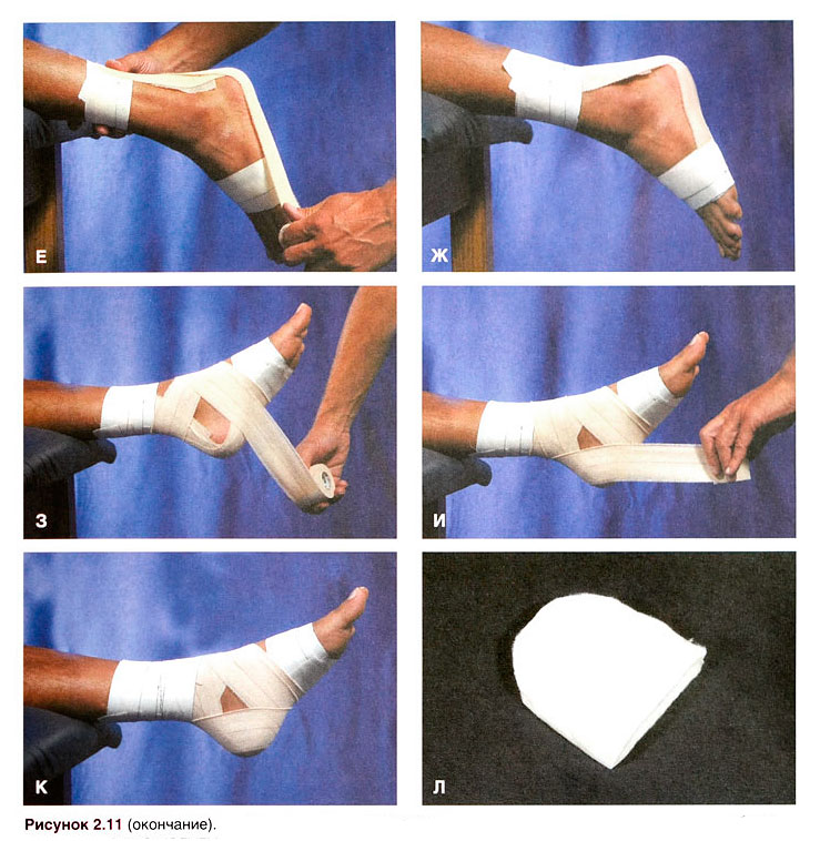 Файл:Ris 2 11 1.jpg